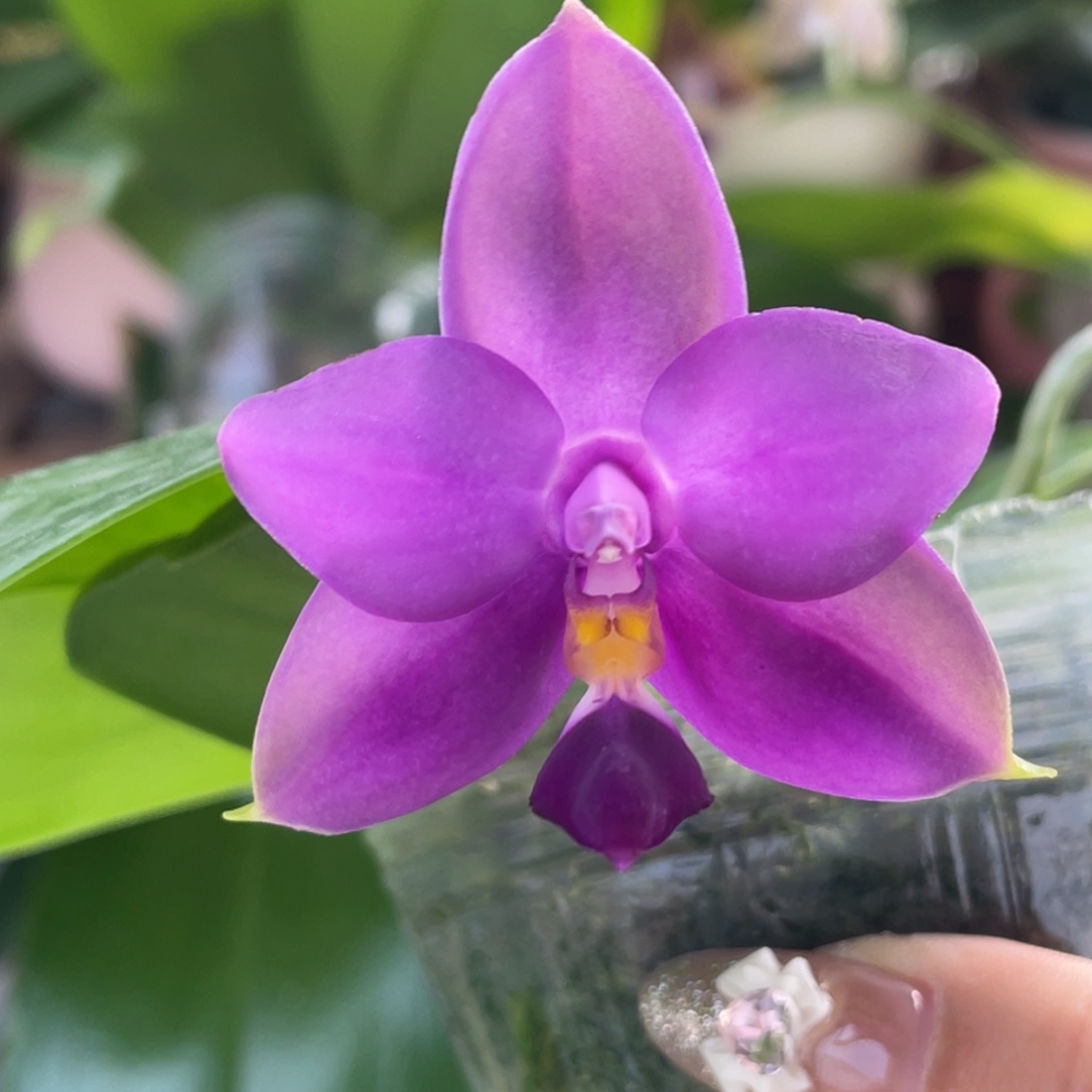 完全开放双十一特惠