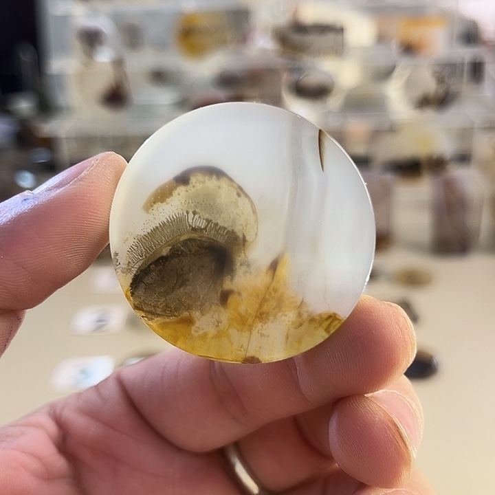 玛瑙/玉髓吊坠(不含链)未镶嵌