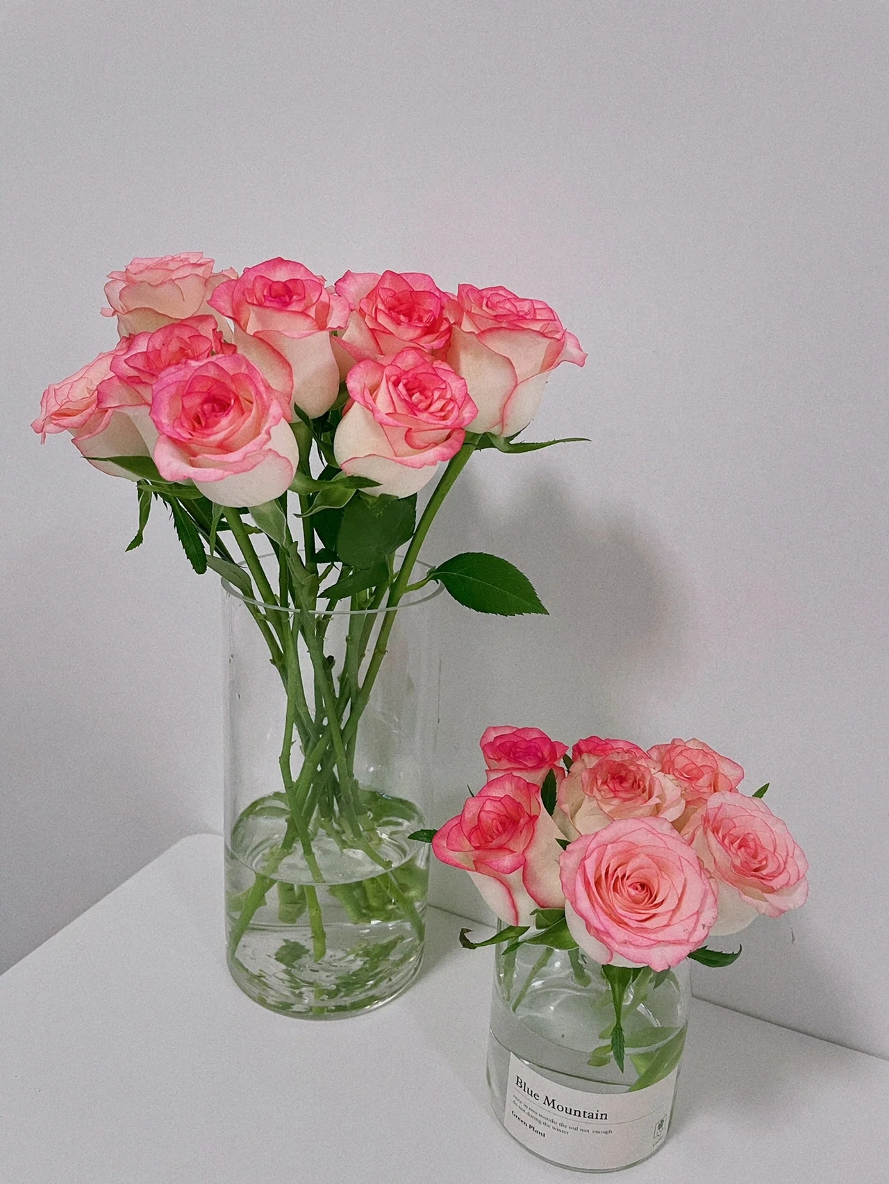 【艾莎】 铁头公主 单头玫  一单也包邮  云南昆明斗南基地直发