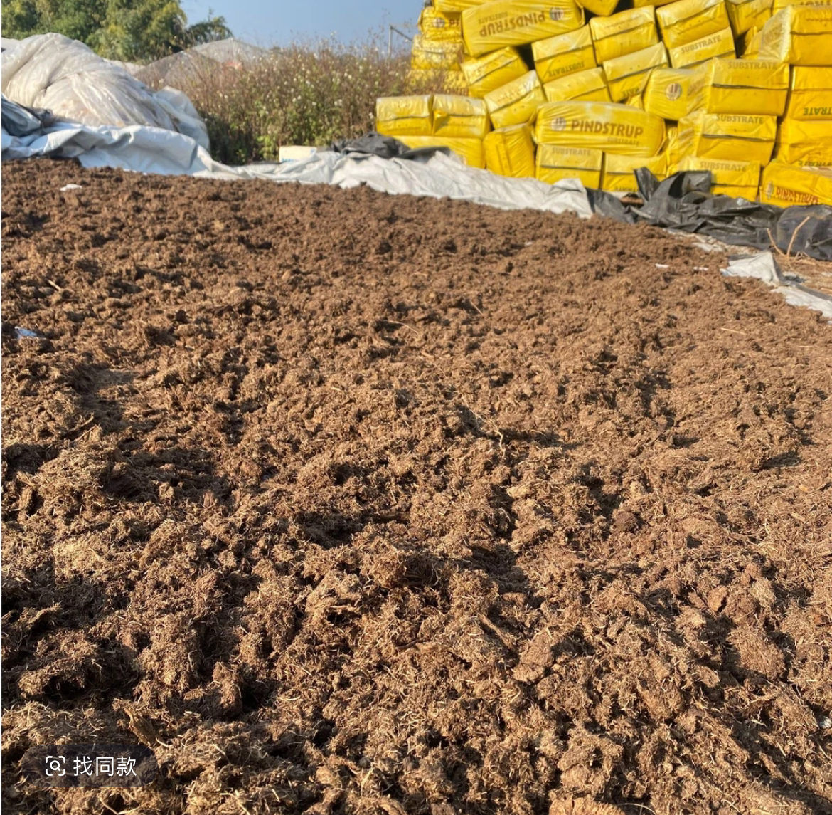植物通用型营养土 疏松透气