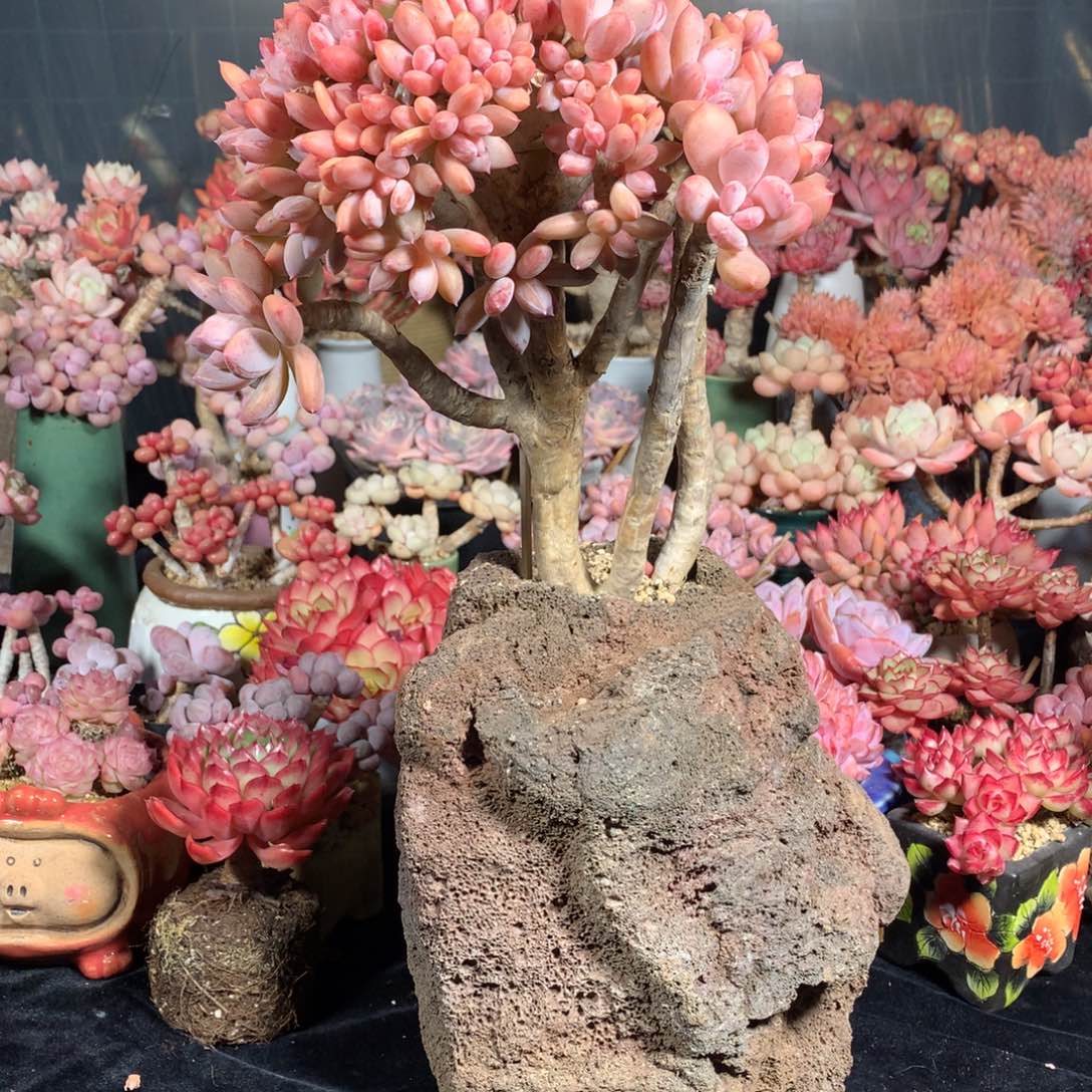 七****完全开放我就觉得这个电影是挺值得