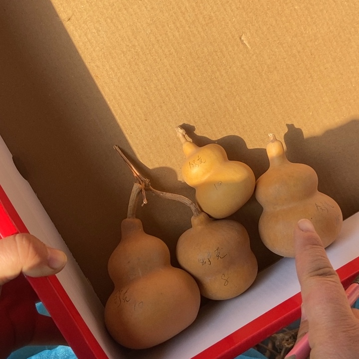 舒***鲜舒克舒克恭喜发财