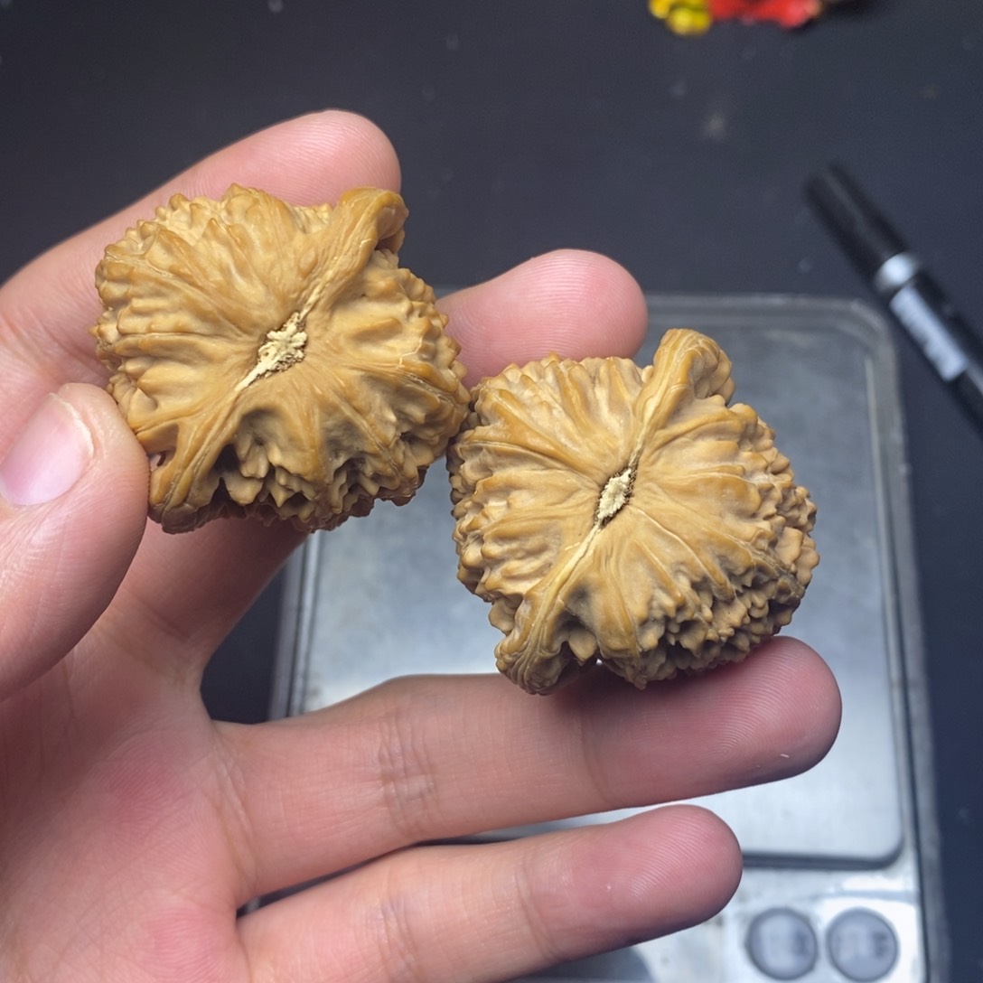 吊坠文玩核桃白狮