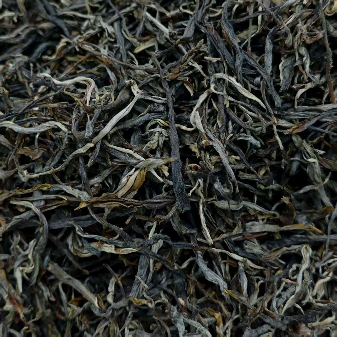   2025年新班章老寨旧址古树   普洱茶   生茶  春茶