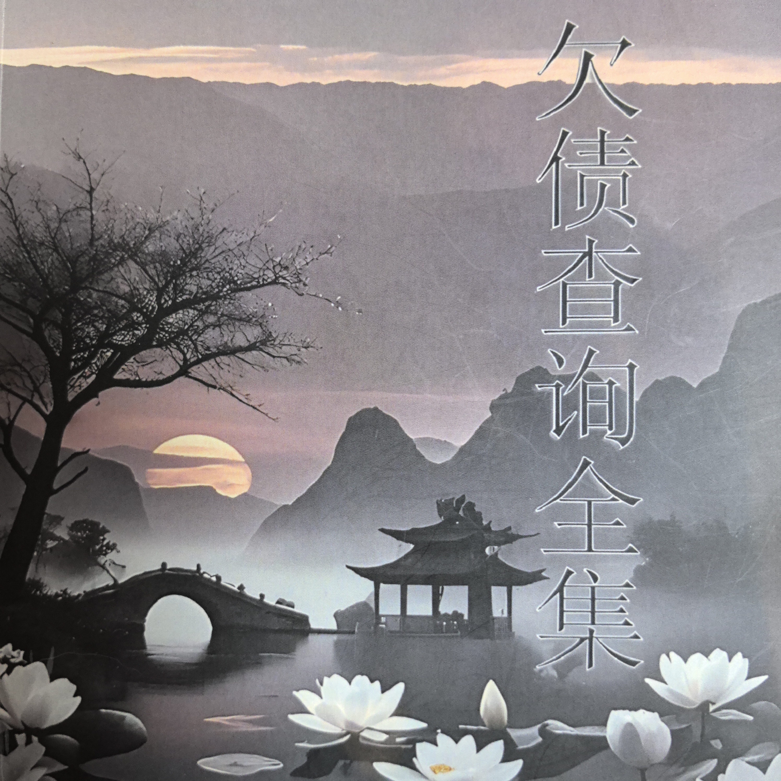 大莉莉专属 欠债笔记全集定制