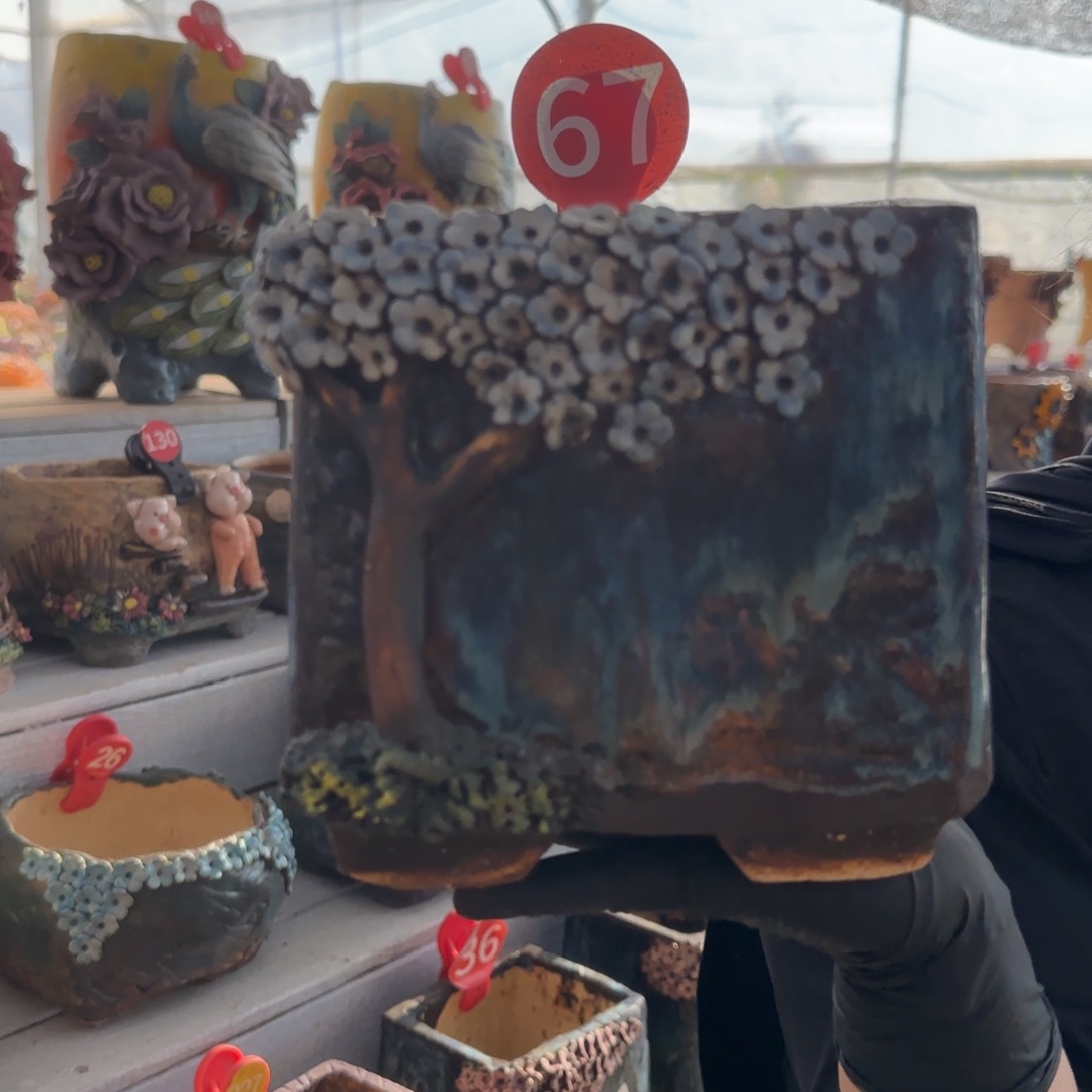 时***瘦67号。    花盆一个。  