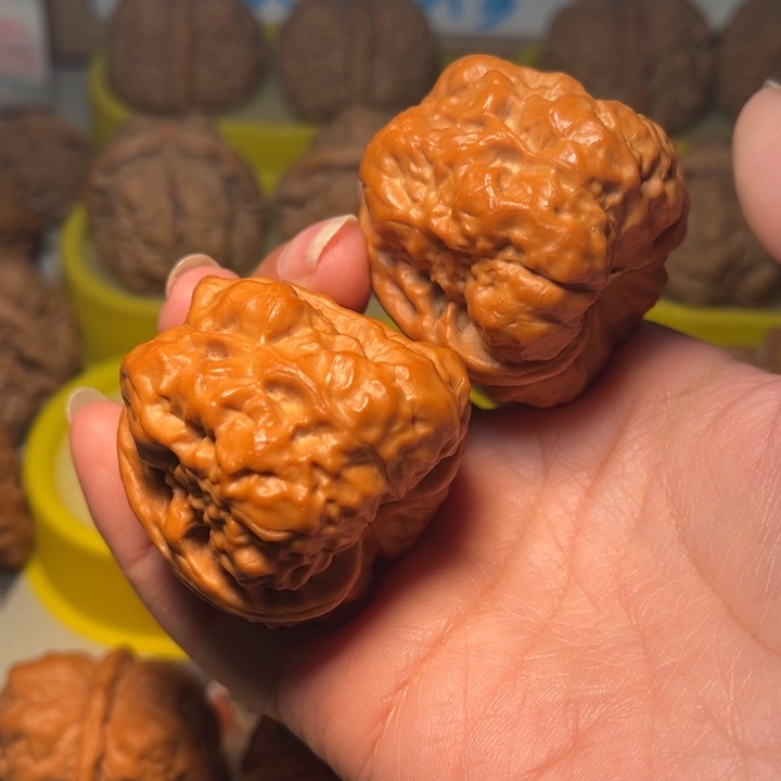 核桃蛙蛙40大肚克重50