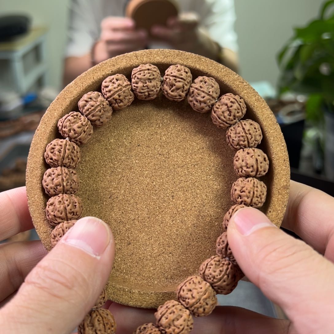 金刚菩提手串树王14尺寸