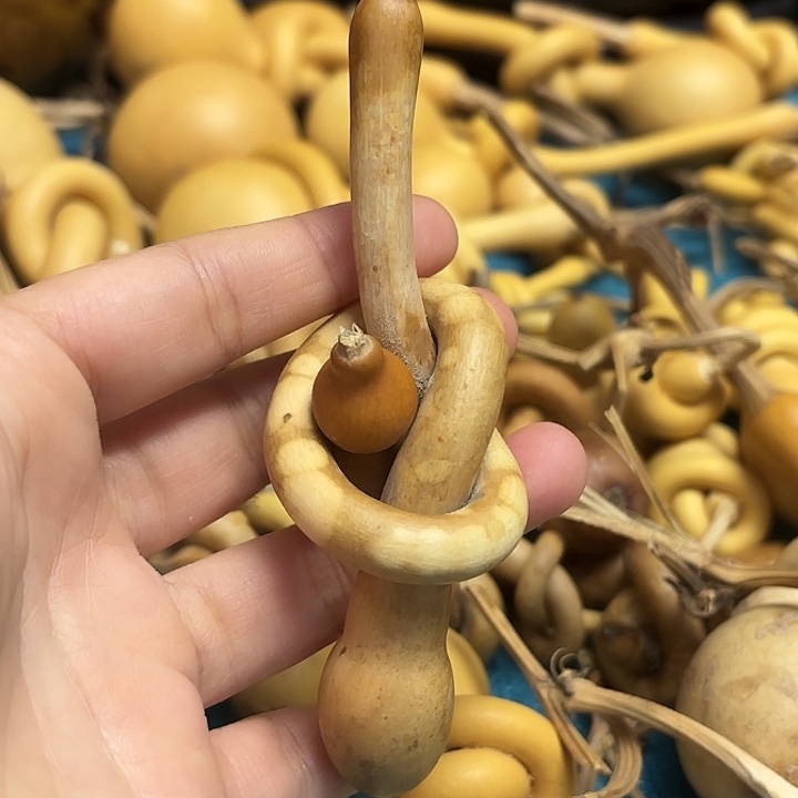 水***穿一把葫芦便宜漏了