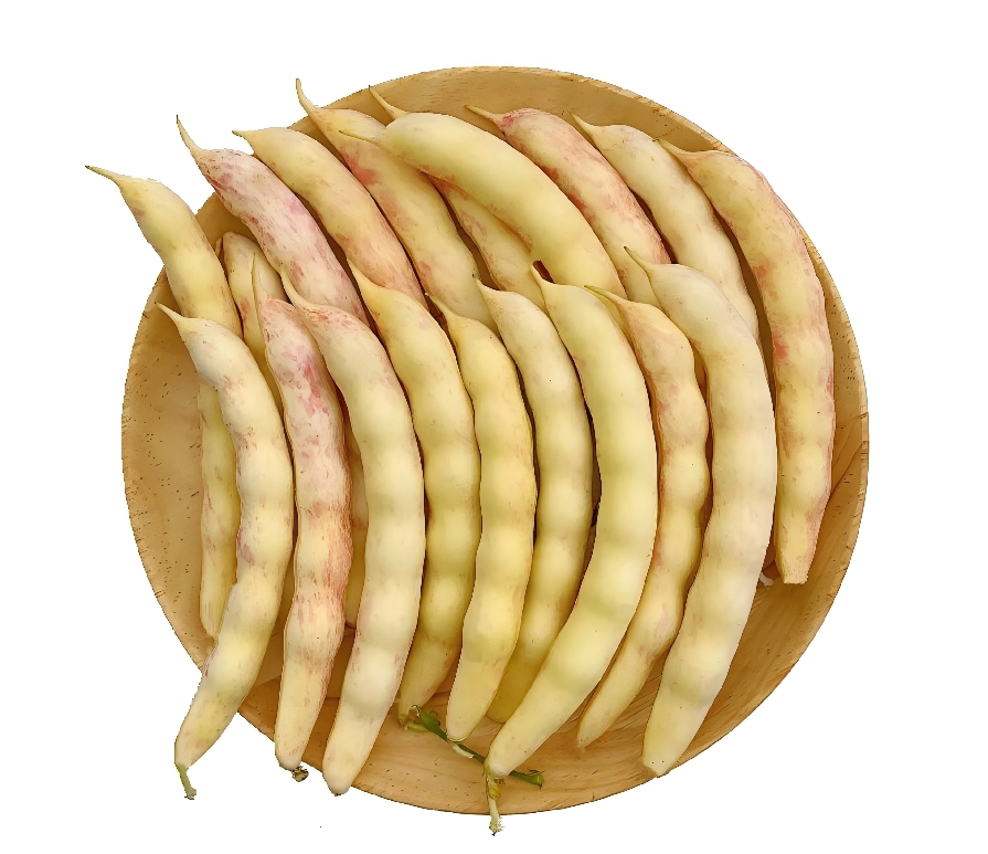 东北小园黄金勾豆角
