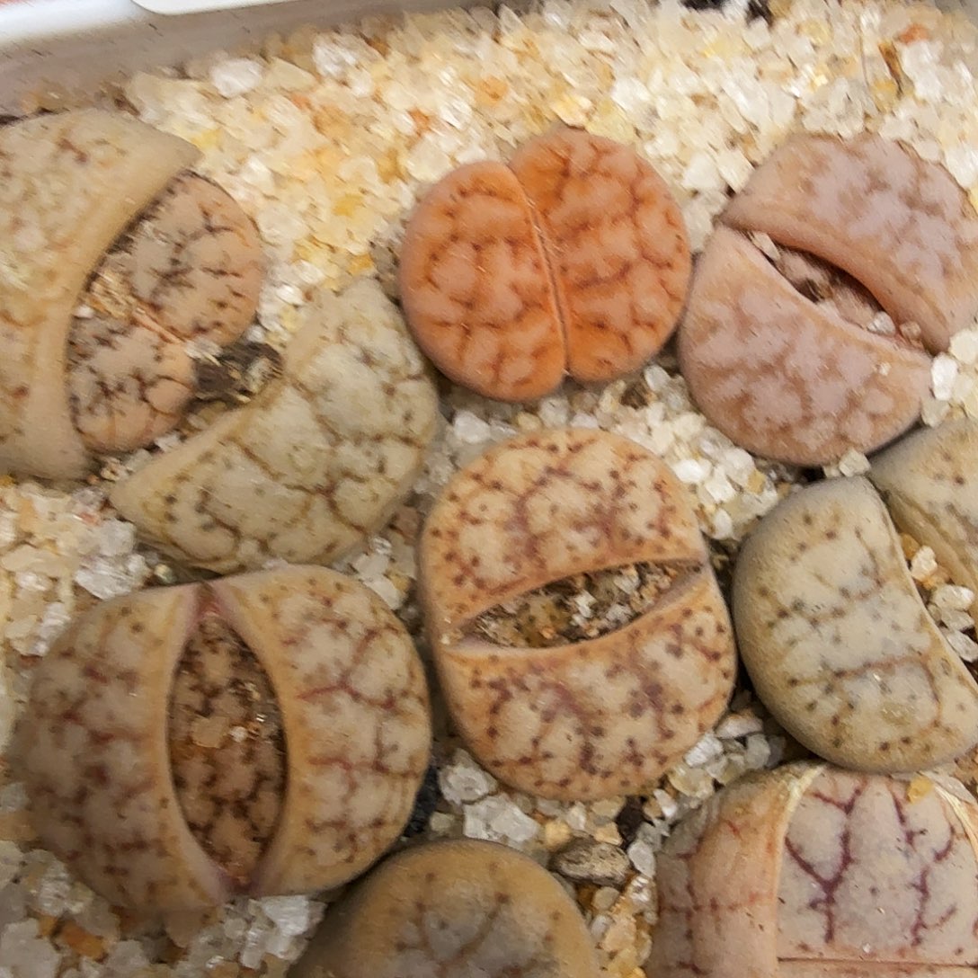 我就去看看她家门口在哪319你