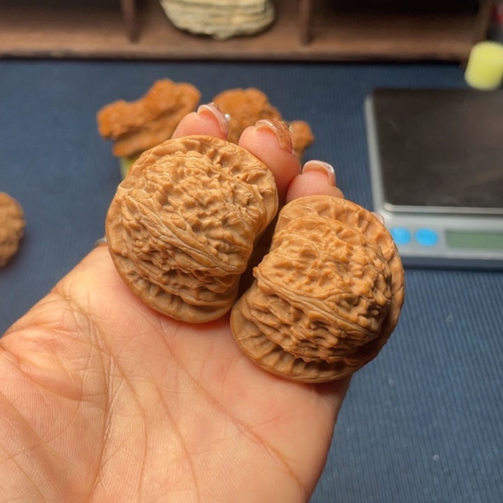 核桃42白狮子全品无修