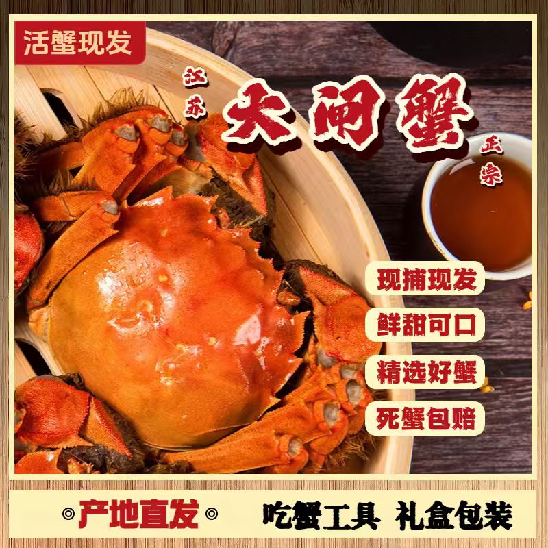 【活蟹现发】鲜活大闸蟹 公5.0-4.7两-母4.0-3.7两 6只/8只/10只 L