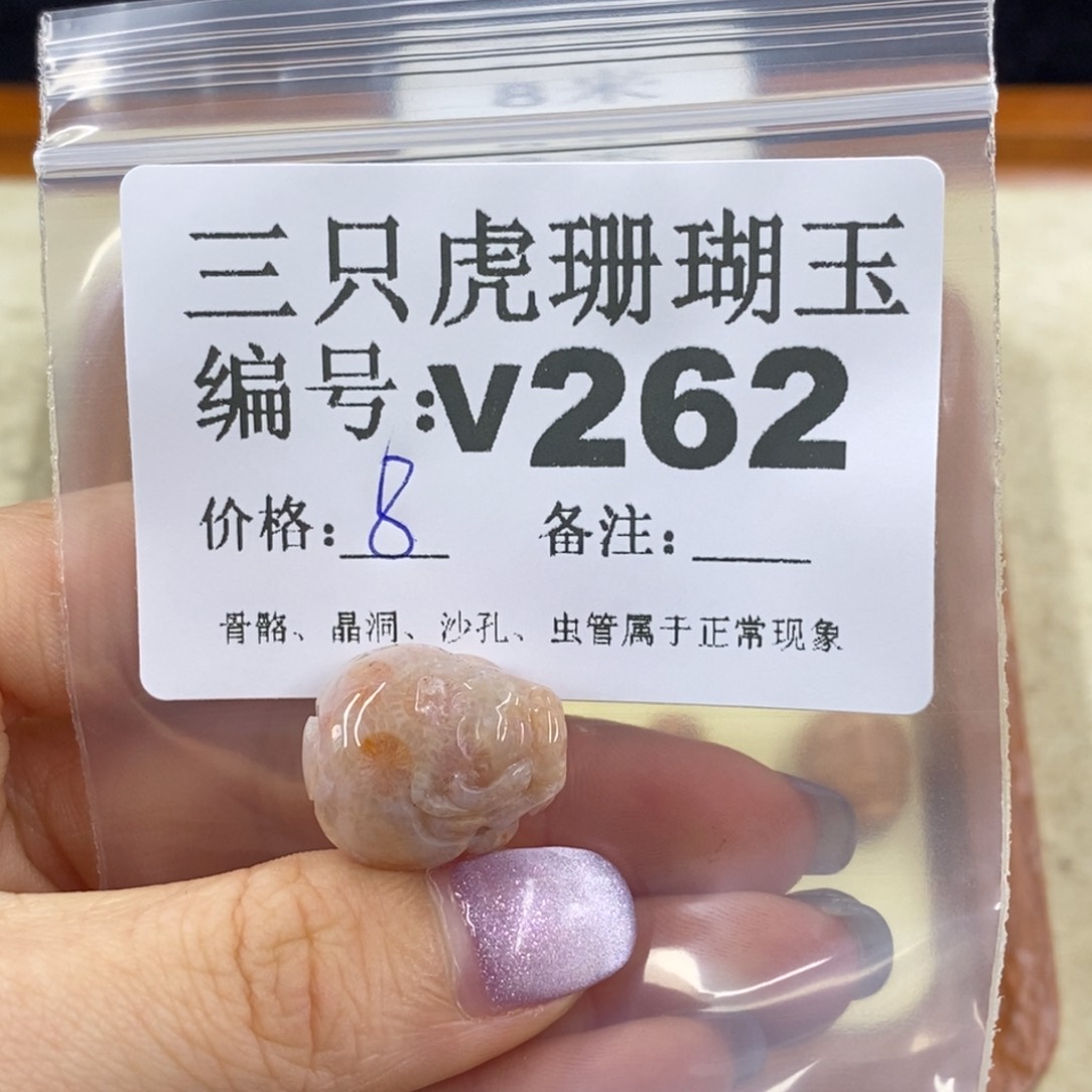硅化珊瑚（珊瑚玉）未镶嵌1甄**儿