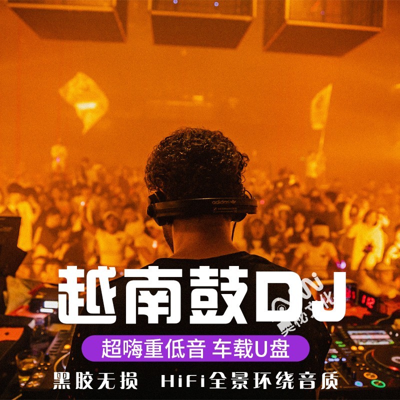 越南鼓dj车载u盘无损高音质车用中英文鼓动打碟串烧重低音高品质