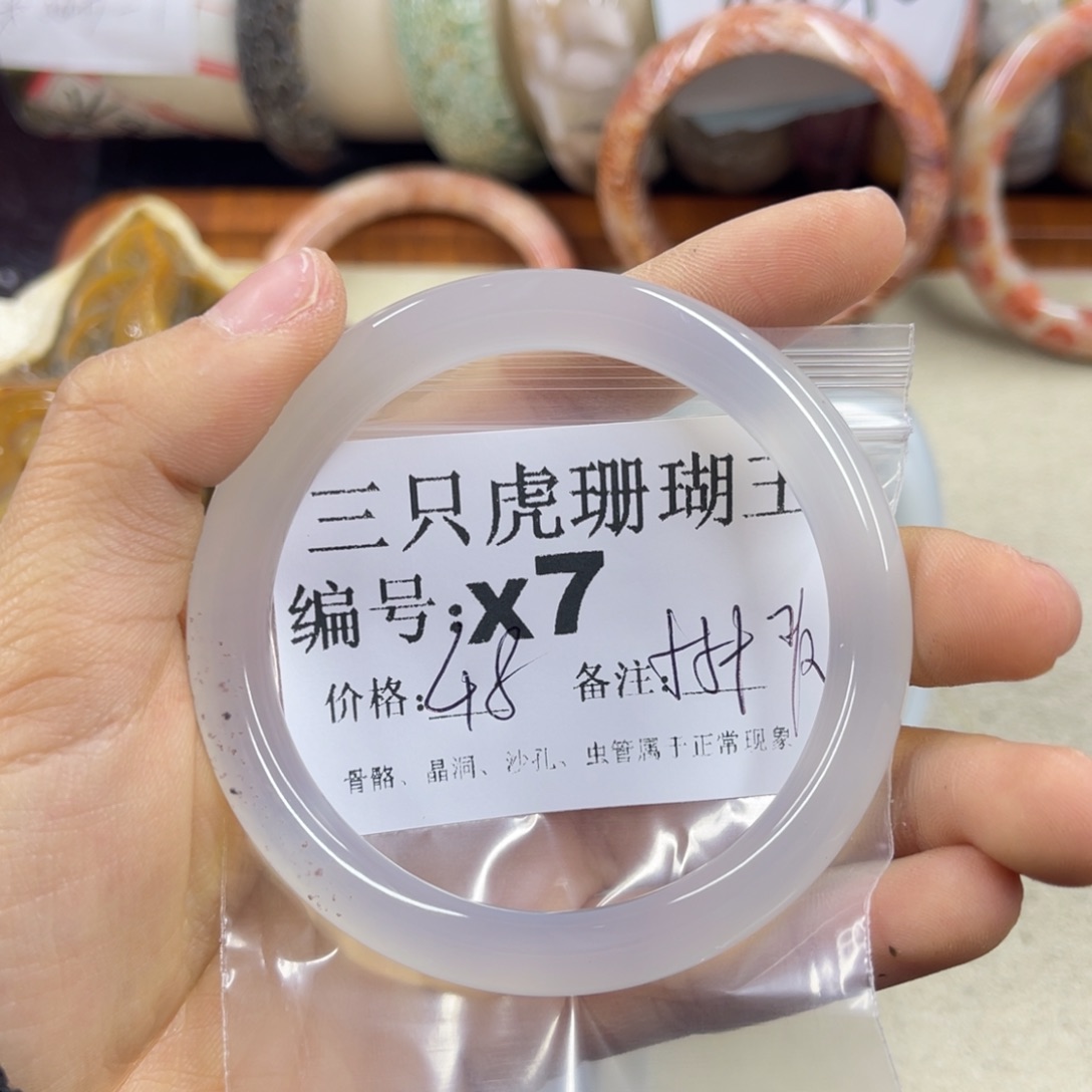 无***念硅化珊瑚（珊瑚玉）未镶嵌h