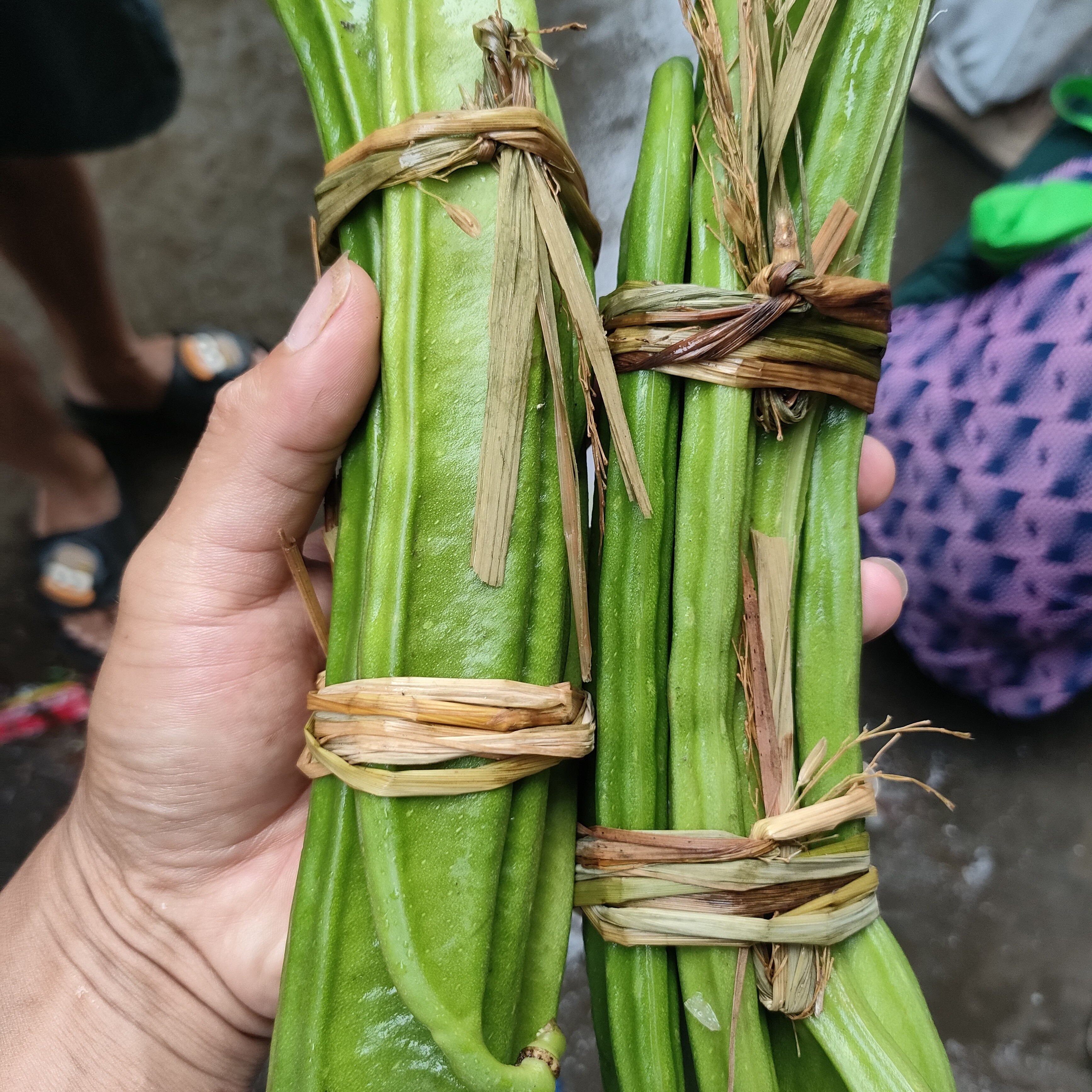 农家自种新鲜蔬菜羊角豆水果黄秋葵刀豆