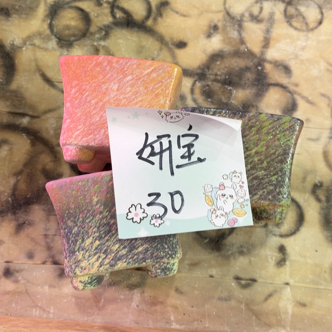 妍***儿妍宝元旦福利款yan花系列