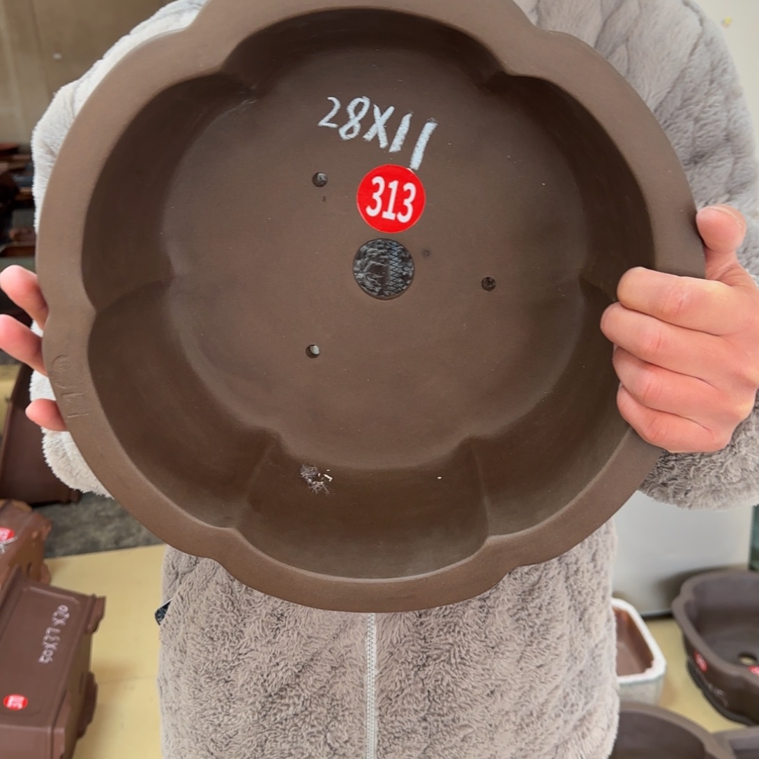 紫砂花盆呜呜呜呜