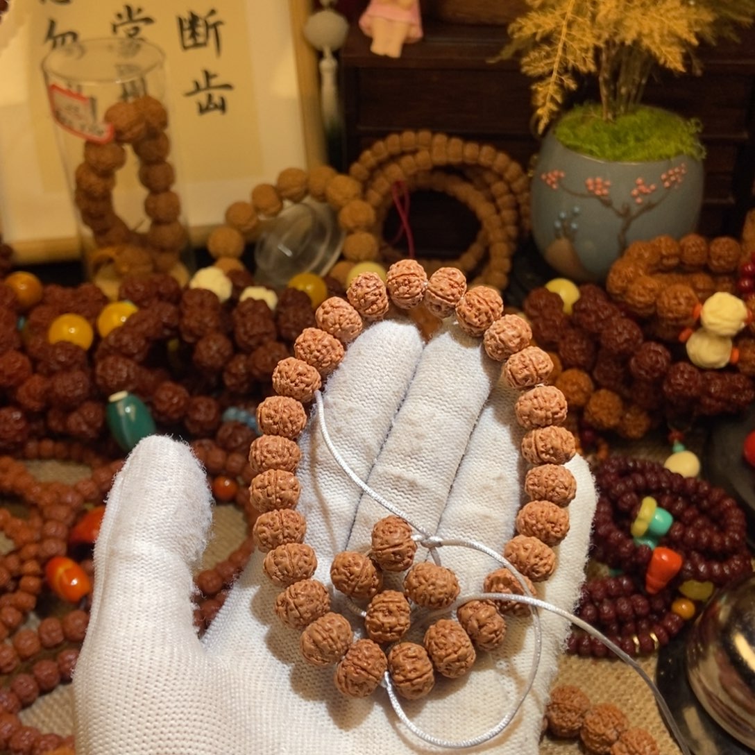 金刚菩提手串126原籽单圈素一物一图