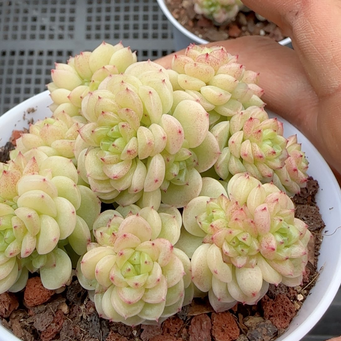 【闪购商品】0221-139（ppt-13）