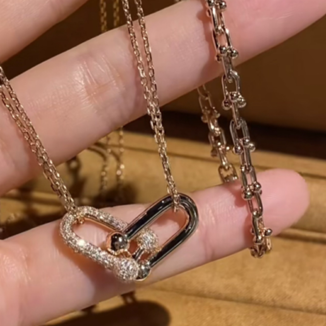 【直播专享】18K轻奢高级时尚双马蹄项链