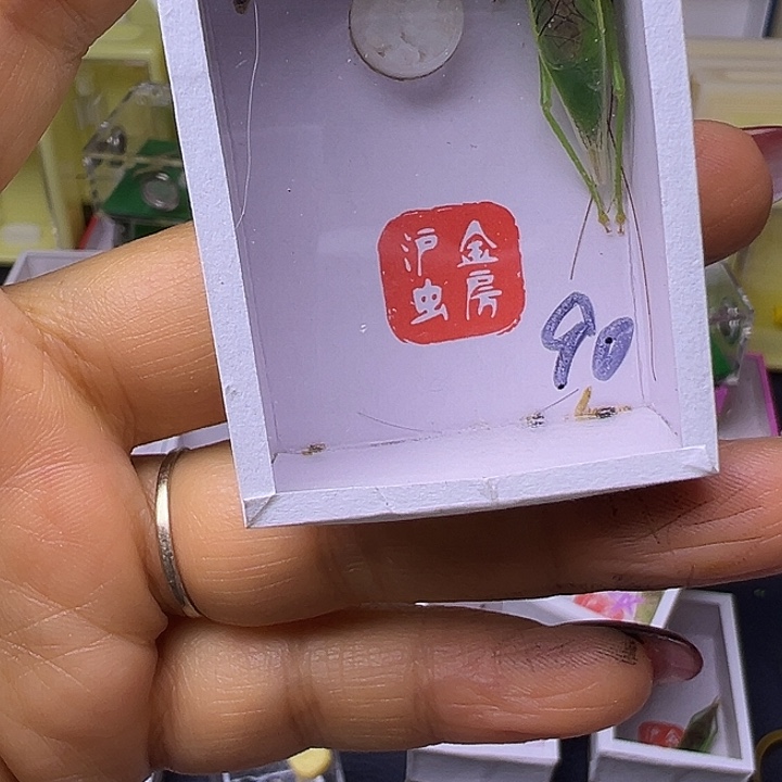 用***5哈哈哈哈哈哈哈哈哈哈