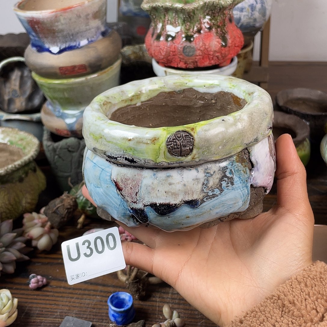 默认微次 跨年福利  坛子姐花盆