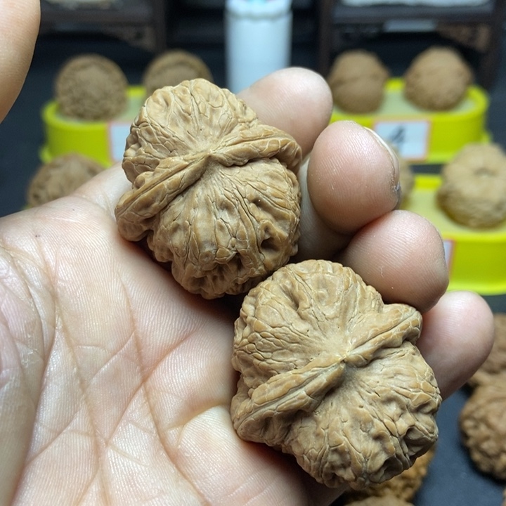 核桃平谷元宝009