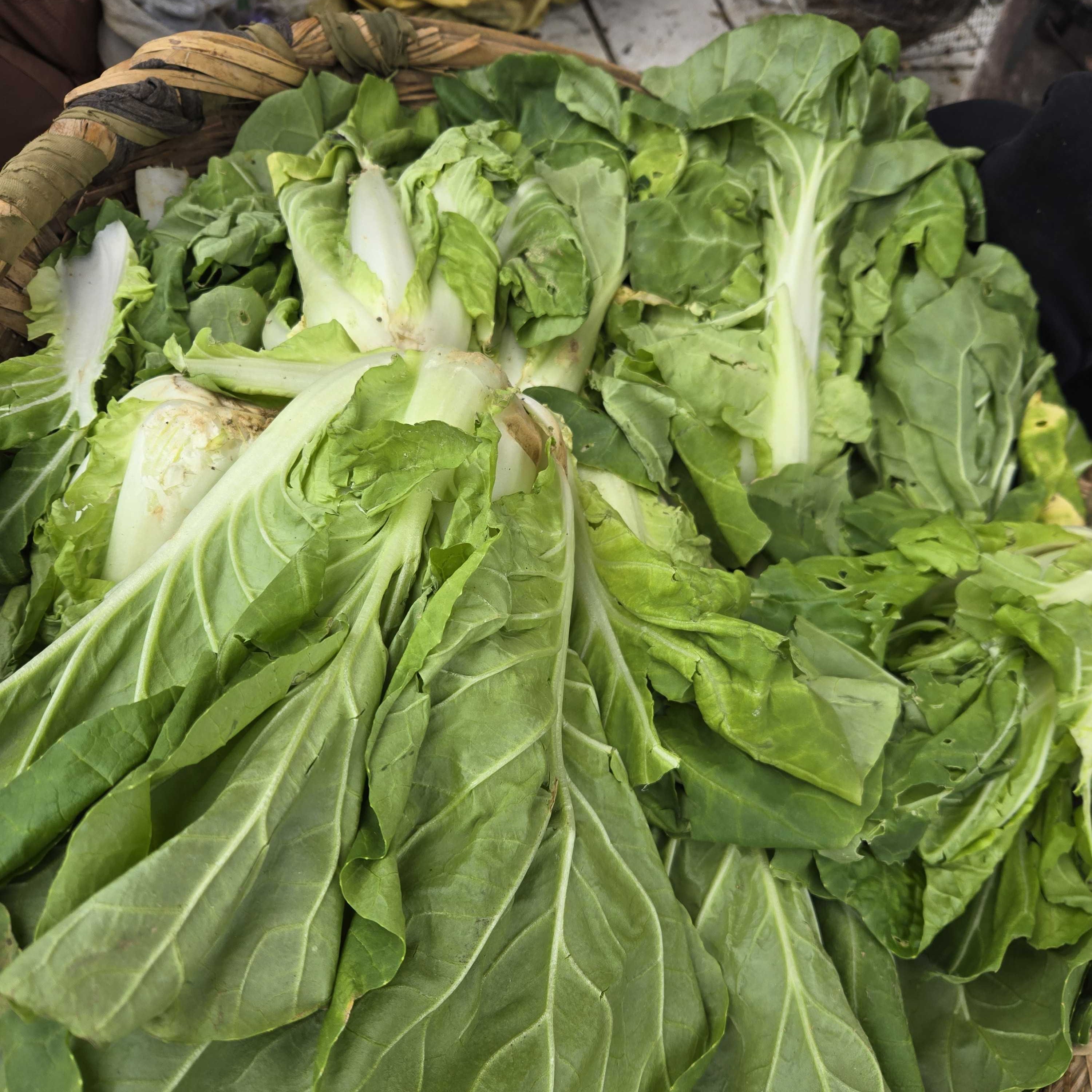 【云南山地白菜】土特产临时链接1-10000g