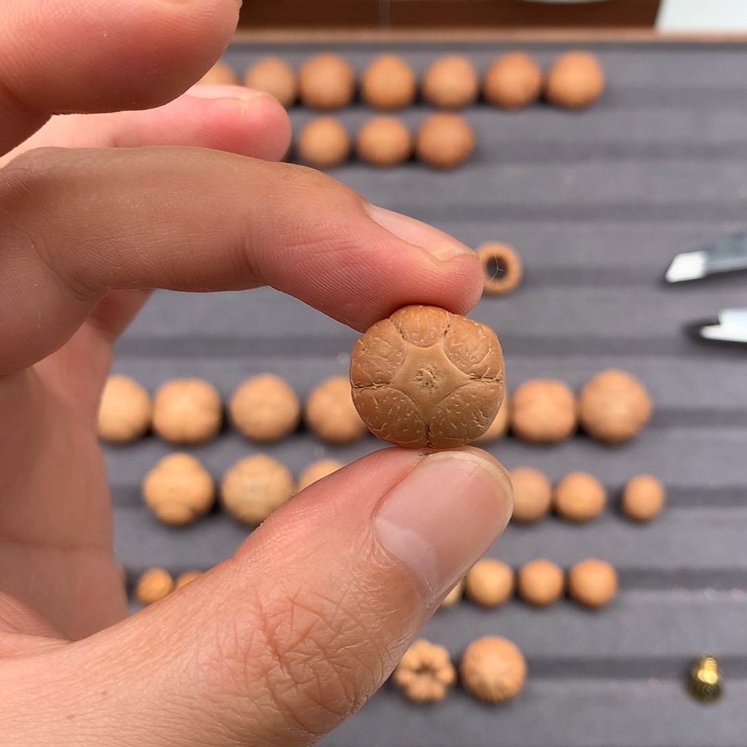 吊坠凤眼菩提17+五星，非质量问题开孔不退