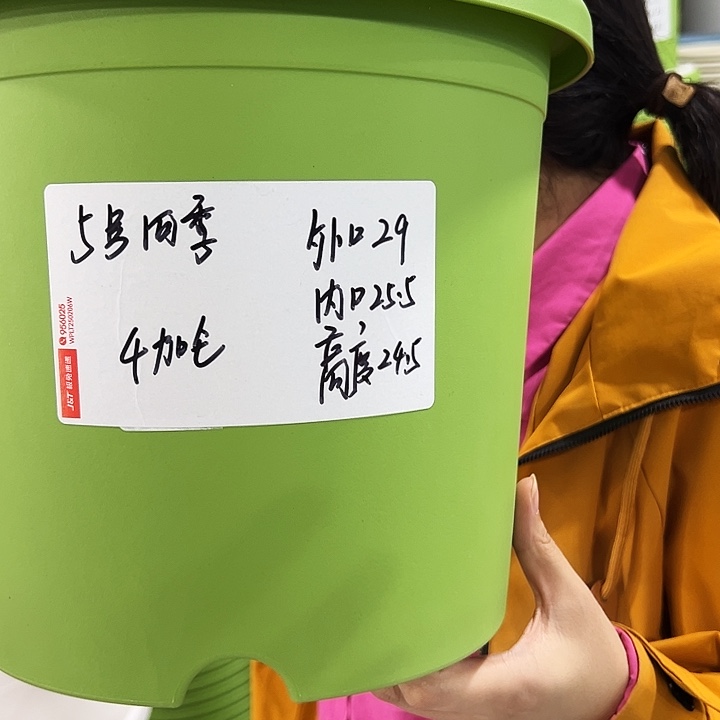 特价5号四季盆口29高24白色无托5只