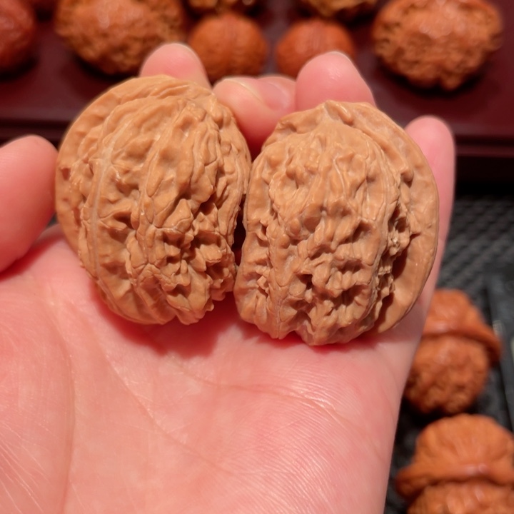把件文玩核桃白狮子半壁江山全品