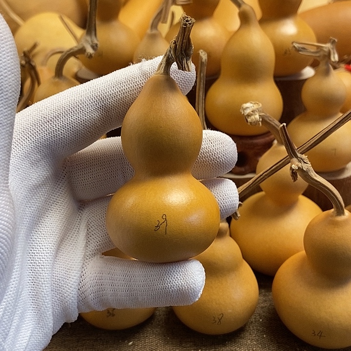 文玩葫芦 完美主义者 慎拍39