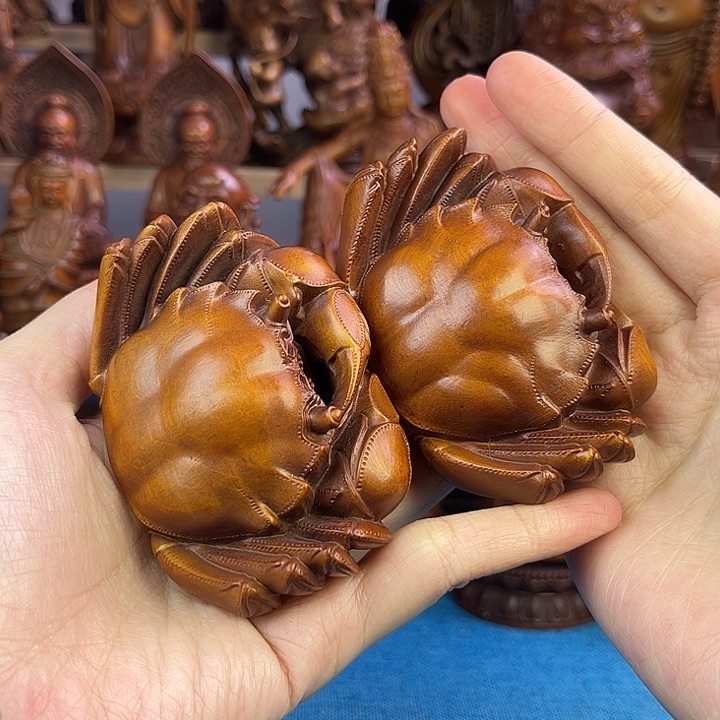 黄杨木小叶黄杨木