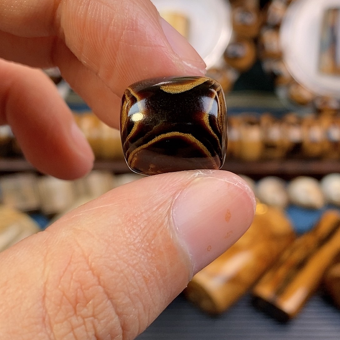 木纯天然海柳血柳1.6