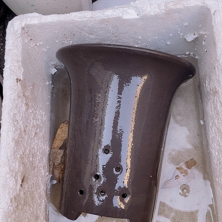 紫砂素面兰花盆18倨傲