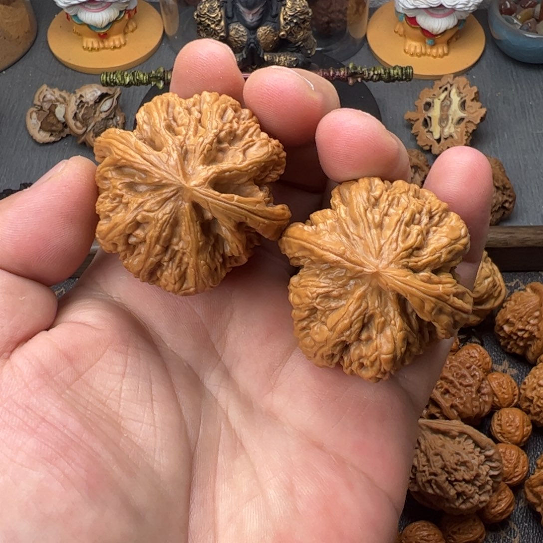 44粗筋有修111111