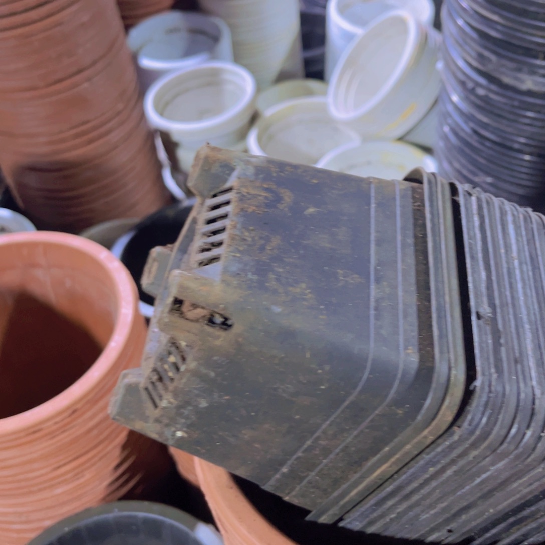 塑料旧12公分黑方盆20 个