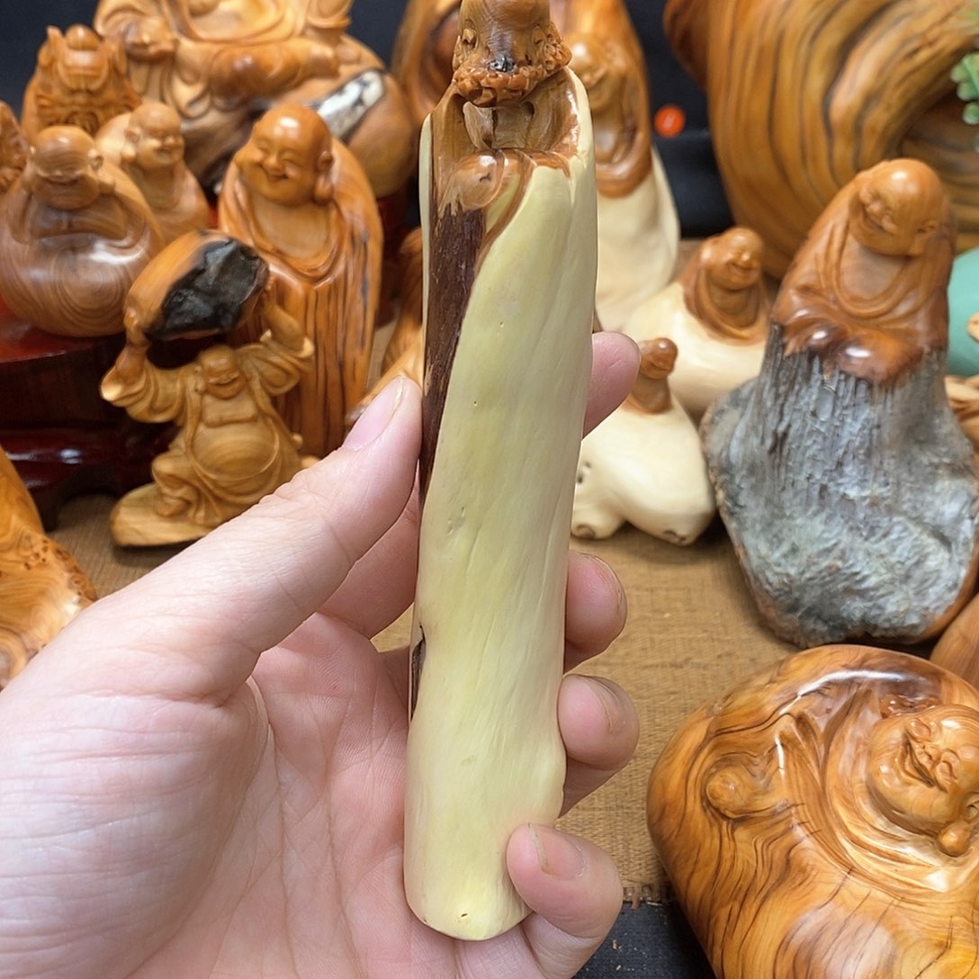 柏木（崖柏）一物一图
