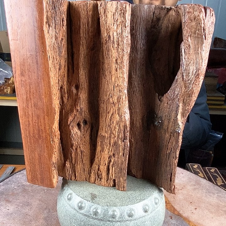 交趾黄檀（大红酸枝）细***树198