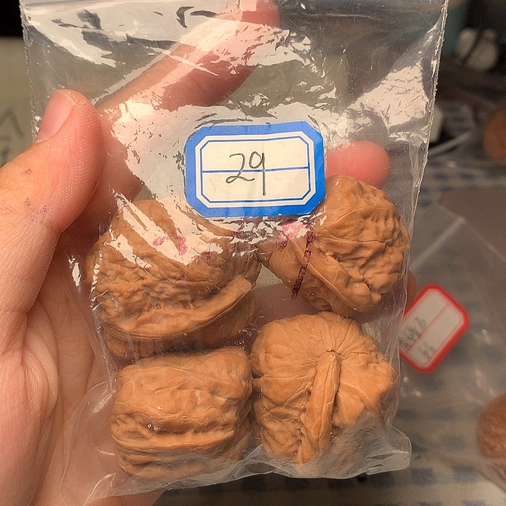 两对蛤蟆头一根筋（有瑕疵）