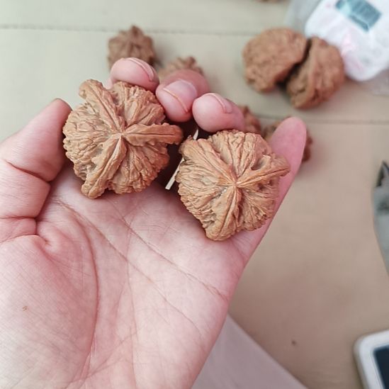 白***飘吊坠文玩核桃白狮子头
