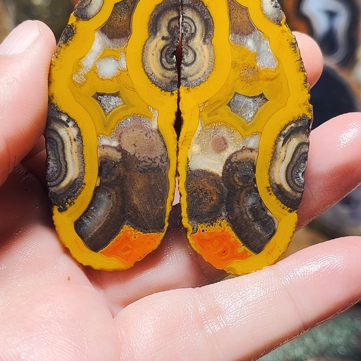 丹***鹤玛瑙/玉髓未镶嵌珠宝奇石