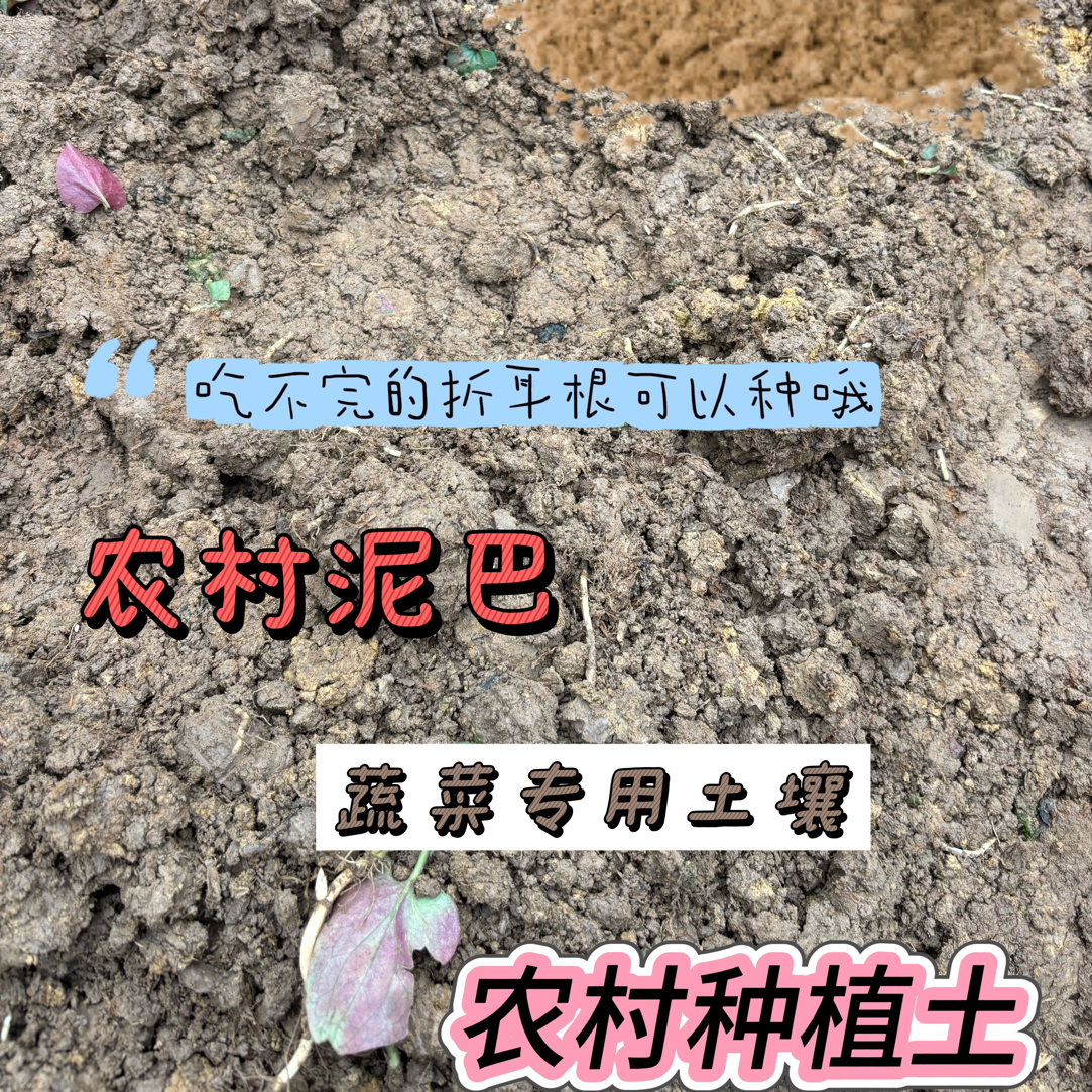 农村种植土高山泥土沙土蔬菜专用土壤营养土可以种植折耳根