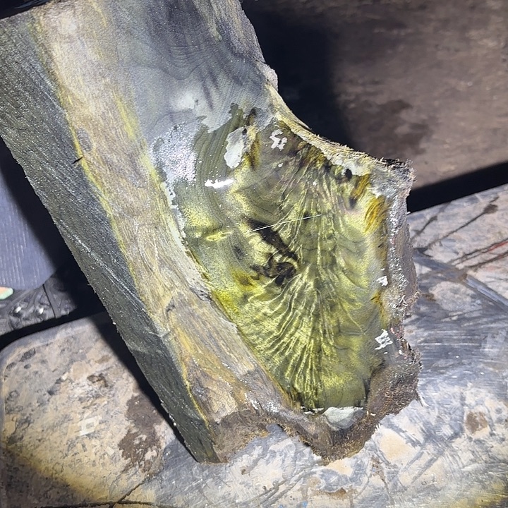 好***阳金丝楠啊啊啊啊啊啊啊啊啊