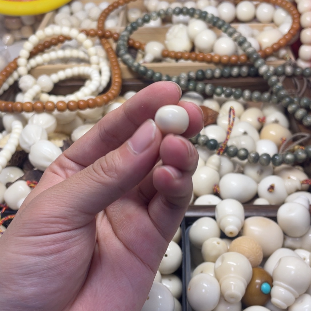 林***学菩提根/象牙果吊坠