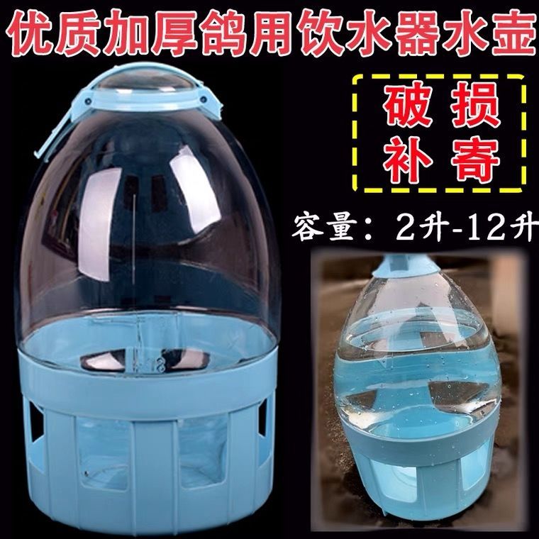 鸽子饮水器水壶信鸽用品自动喂水器鸽子喝水饮水器赛鸽水壶鸽具