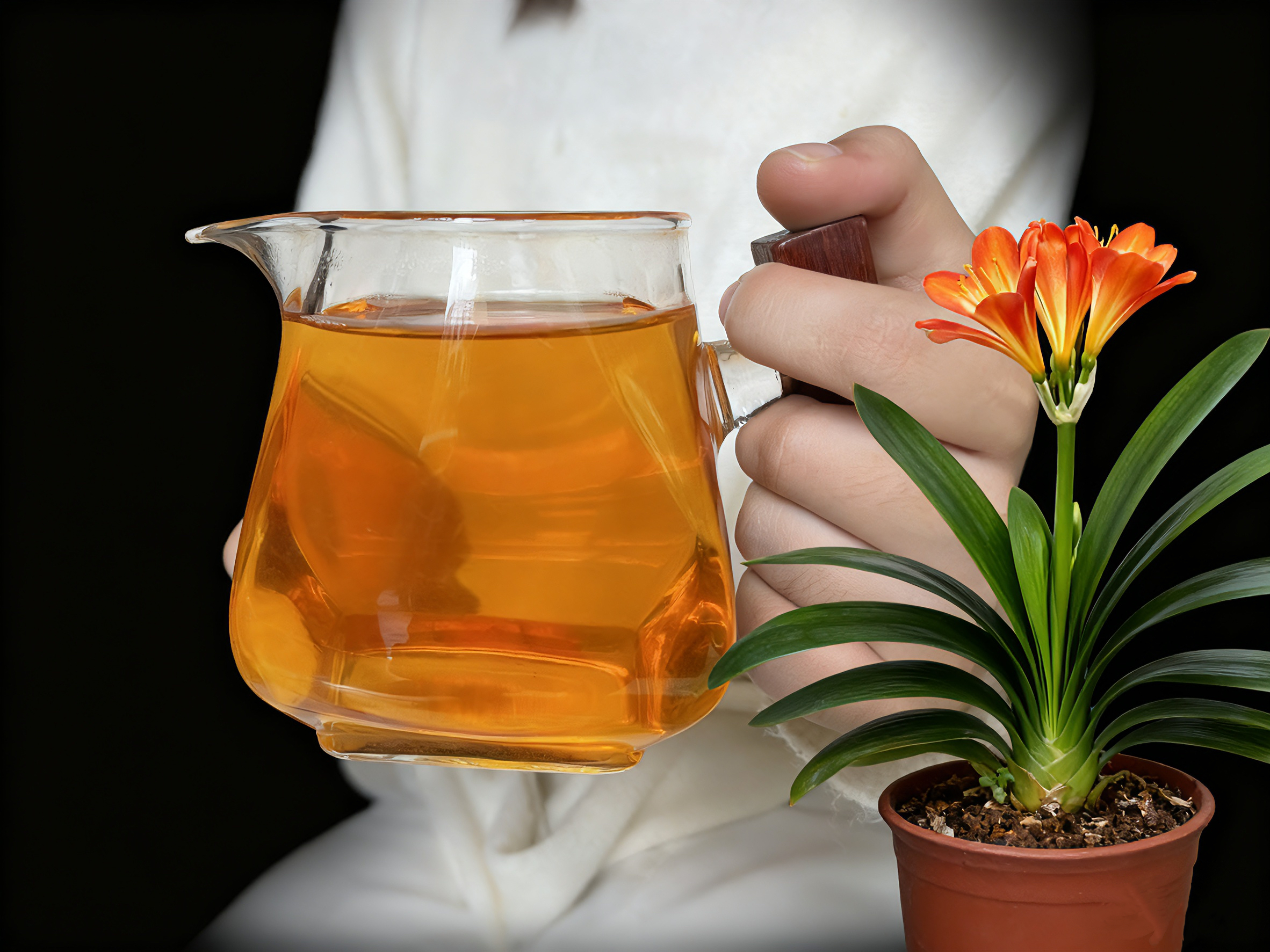 {傣禾} 云南高山老树滇红一芽二叶 高香 高甜 {支持开箱试喝50g}