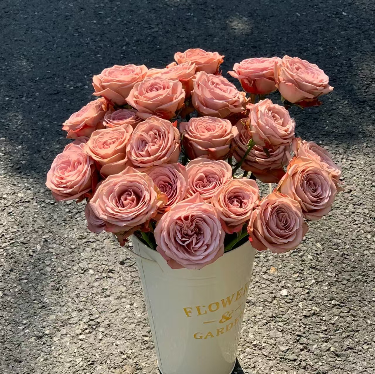 10枝卡布奇诺单头玫瑰【两单顺丰冷链或京东快递】云南鲜花